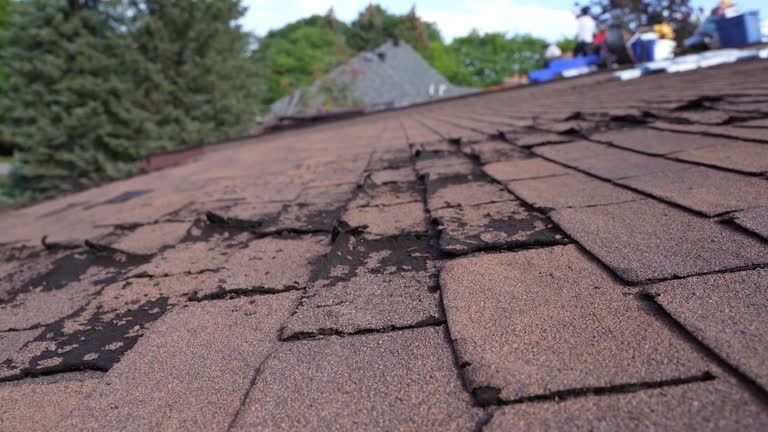 Best Emergency Roof Repair Services  in Smithfield, NC